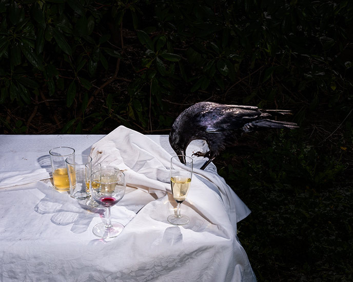 Omakwa Verbona, 2024<br />
Pigment print on Dibond<br />
75 × 60 cm